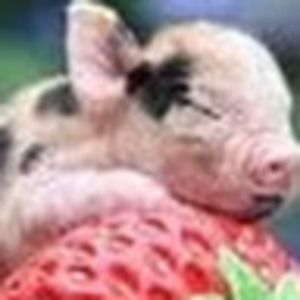 Meet your Posher, Allyson